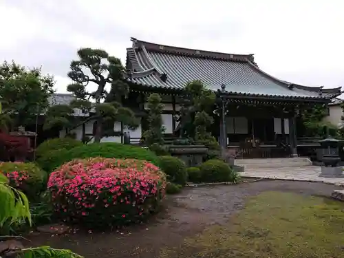 普門寺の本殿・本堂