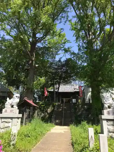 松尾神社の狛犬