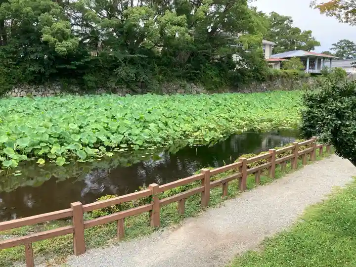 報徳二宮神社の庭園