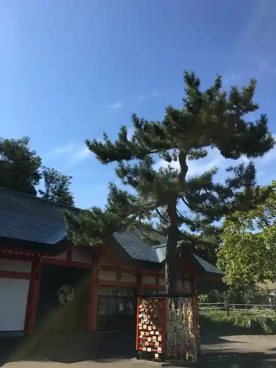 住吉神社の絵馬
