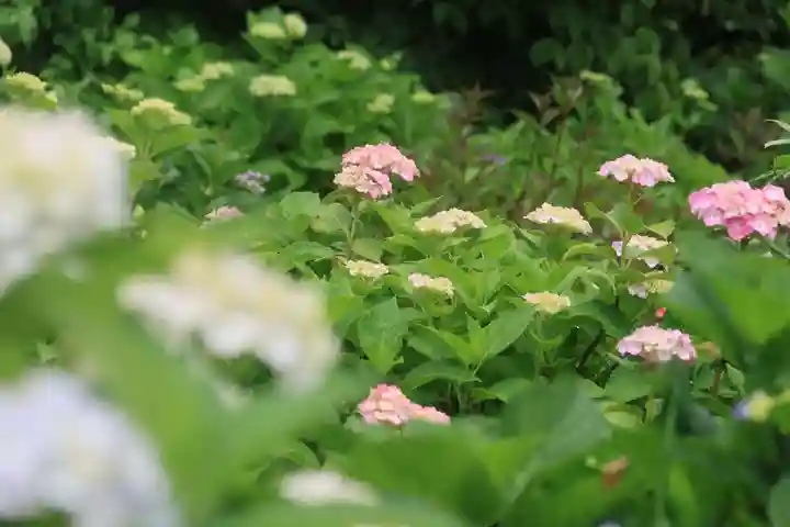 豊景神社の庭園