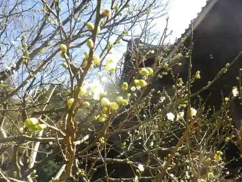 妙本寺のその他建物