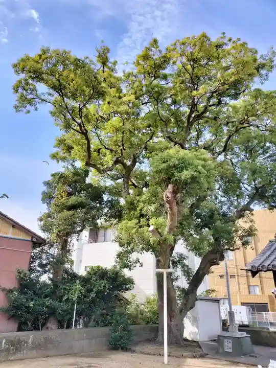 恵比須神社(徳島県)