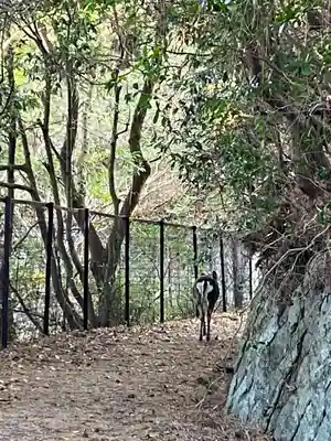 今伊勢神社(厳島神社境外末社)(広島県)