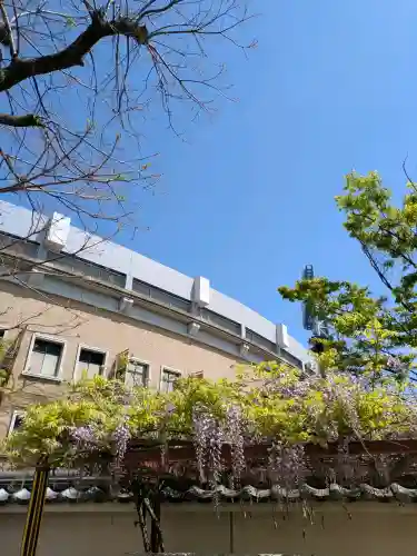 素盞嗚神社の{uncategorized: "未分類", other: "その他", undefined: "問題あり", building: "その他建物", grave: "お墓", sacred_gate: "鳥居", guardian: "狛犬", statue: "像", buddha: "仏像", history: "歴史", nature: "自然", garden: "庭園", animal: "動物", pagoda: "塔", temizu: "手水舎", mountain_gate: "山門・神門", sanctuary: "本殿・本堂", subordinate: "末社・摂社", art: "芸術", scenery: "景色", jizo: "地蔵", ema: "絵馬", goshuin: "御朱印", omikuji: "おみくじ", items: "授与品その他", amulet: "お守り", goshuincho: "御朱印帳", eats: "食事", festival: "お祭り", votive_dance: "神楽", shichigosan: "七五三参", wedding: "結婚式", experience: "体験その他", initially: "初詣", around: "周辺", anti_infection: "感染症対策"}