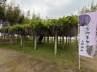 志那神社(滋賀県)