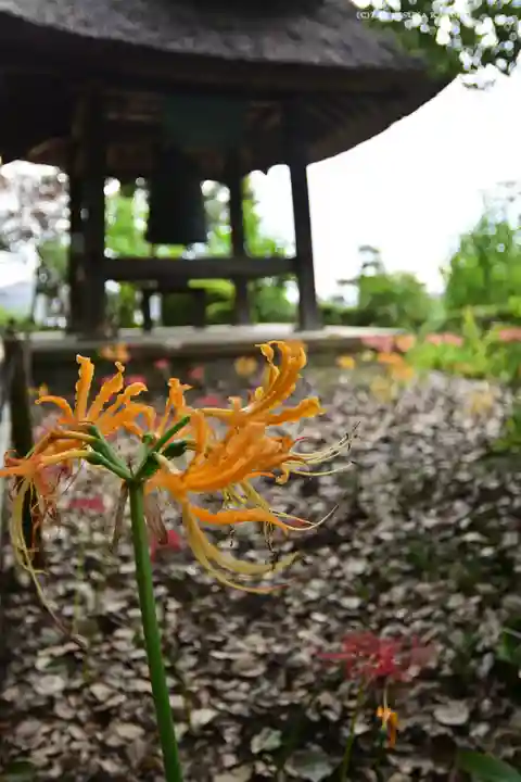 横浜 西方寺(神奈川県)