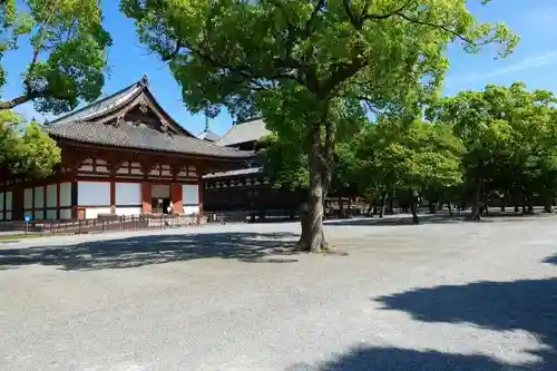 東寺（教王護国寺）のその他建物