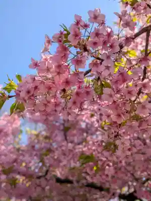 新井薬師（梅照院）(東京都)