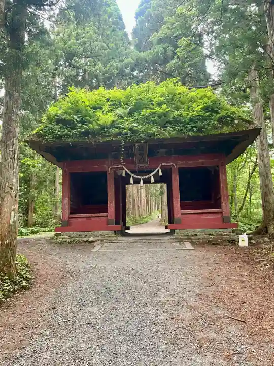 戸隠神社奥社の{uncategorized: "未分類", other: "その他", undefined: "問題あり", building: "その他建物", grave: "お墓", sacred_gate: "鳥居", guardian: "狛犬", statue: "像", buddha: "仏像", history: "歴史", nature: "自然", garden: "庭園", animal: "動物", pagoda: "塔", temizu: "手水舎", mountain_gate: "山門・神門", sanctuary: "本殿・本堂", subordinate: "末社・摂社", art: "芸術", scenery: "景色", jizo: "地蔵", ema: "絵馬", goshuin: "御朱印", omikuji: "おみくじ", items: "授与品その他", amulet: "お守り", goshuincho: "御朱印帳", eats: "食事", festival: "お祭り", votive_dance: "神楽", shichigosan: "七五三参", wedding: "結婚式", experience: "体験その他", initially: "初詣", around: "周辺", anti_infection: "感染症対策"}