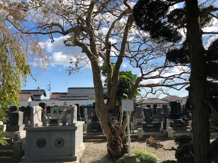 宝林寺(宮城県)