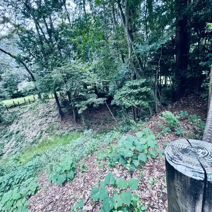 城山神社(埼玉県)