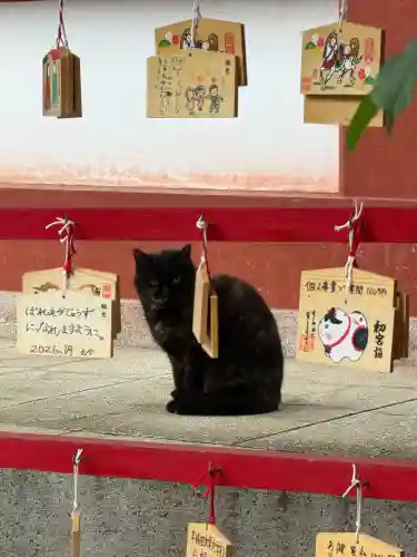 東神奈川熊野神社の{uncategorized: "未分類", other: "その他", undefined: "問題あり", building: "その他建物", grave: "お墓", sacred_gate: "鳥居", guardian: "狛犬", statue: "像", buddha: "仏像", history: "歴史", nature: "自然", garden: "庭園", animal: "動物", pagoda: "塔", temizu: "手水舎", mountain_gate: "山門・神門", sanctuary: "本殿・本堂", subordinate: "末社・摂社", art: "芸術", scenery: "景色", jizo: "地蔵", ema: "絵馬", goshuin: "御朱印", omikuji: "おみくじ", items: "授与品その他", amulet: "お守り", goshuincho: "御朱印帳", eats: "食事", festival: "お祭り", votive_dance: "神楽", shichigosan: "七五三参", wedding: "結婚式", experience: "体験その他", initially: "初詣", around: "周辺", anti_infection: "感染症対策"}