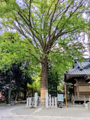 田無神社(東京都)