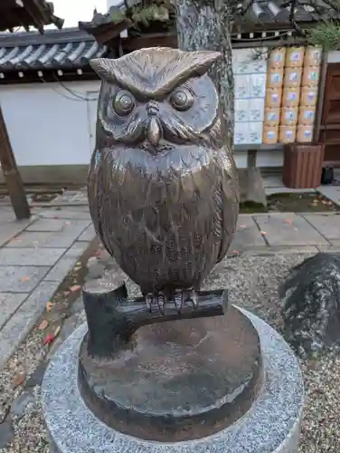 射楯兵主神社(兵庫県)