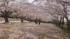 貴船神社の自然