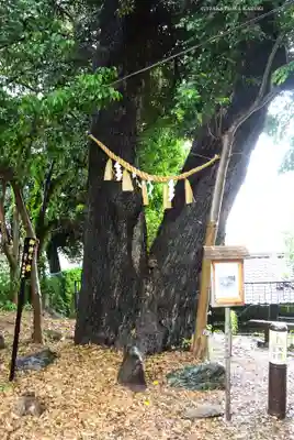 八景天祖神社(東京都)
