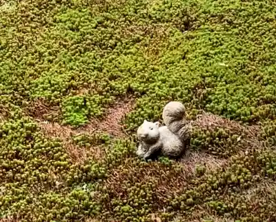 聖護院門跡(京都府)