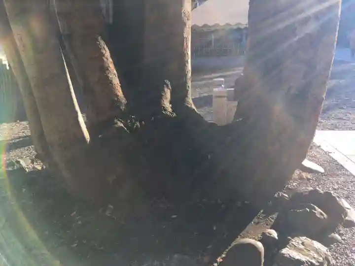 大國魂神社(東京都)