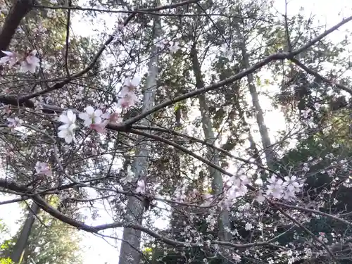 真楽寺(三重県)