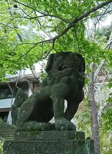 菊池神社の狛犬