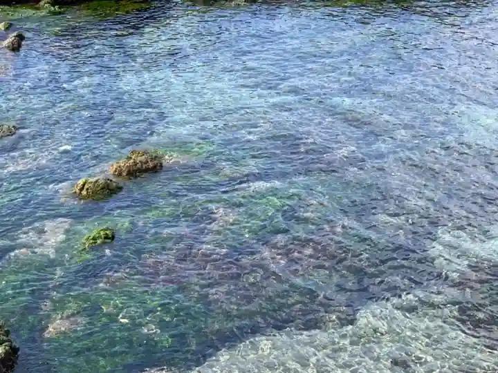 八坂神社の周辺