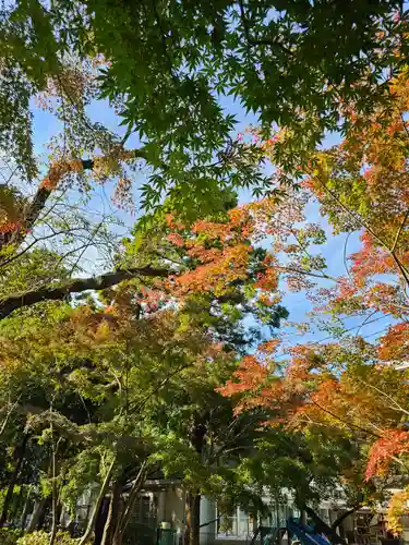 東漸寺(千葉県)