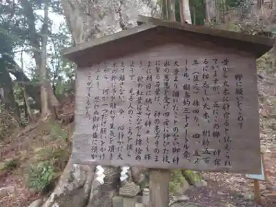 丹生川上神社（下社）(奈良県)