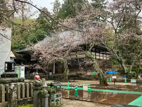 松尾寺(京都府)