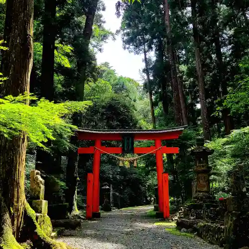 方廣寺の鳥居