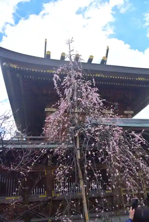 湯島天満宮(東京都)