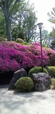 等覚院(神奈川県)