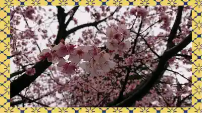 九重神社(埼玉県)