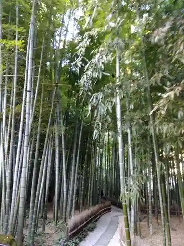 報国寺(神奈川県)