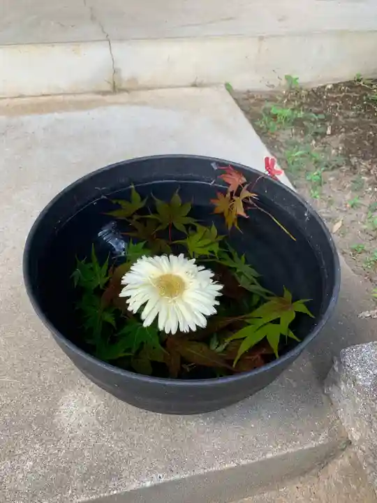 成田観音 円応寺(千葉県)