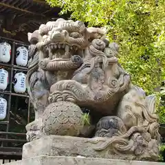 大甕神社の狛犬