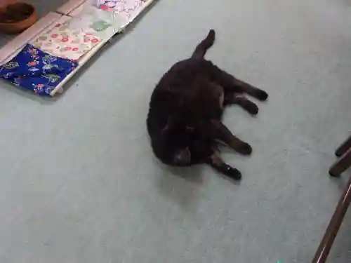 弥生神社の動物