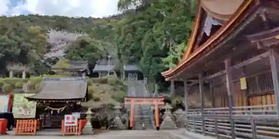白鬚神社(滋賀県)