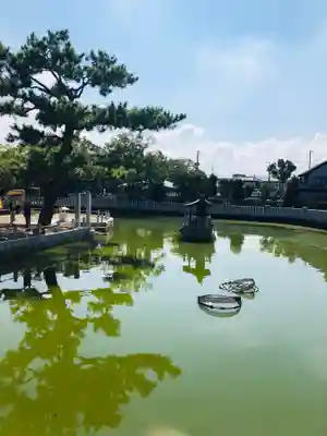 百舌鳥八幡宮(大阪府)