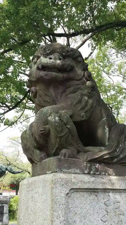 富士山本宮浅間大社の狛犬