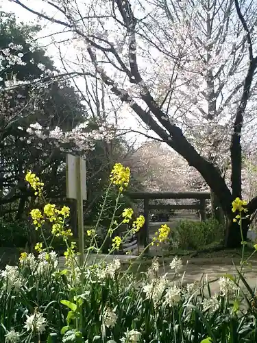 葛原岡神社の自然