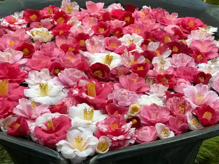 法然院(京都府)