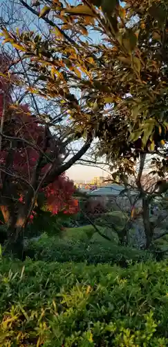 題経寺（柴又帝釈天）の自然