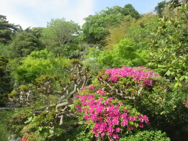 浄光明寺(神奈川県)
