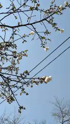 向日神社(京都府)