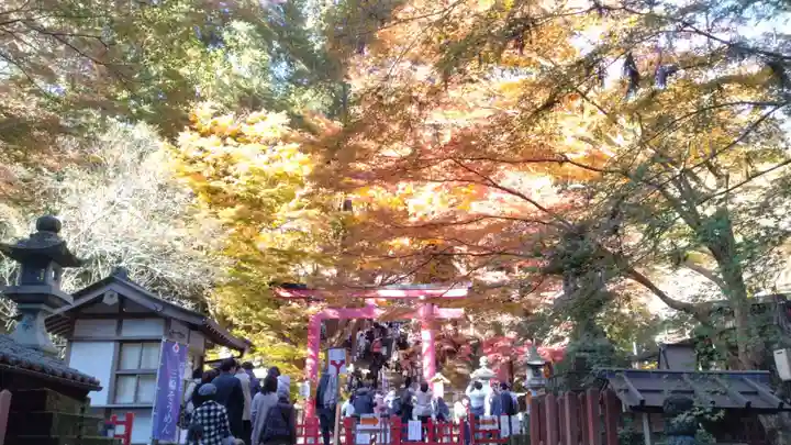 談山神社(奈良県)