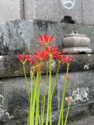 上行寺(静岡県)