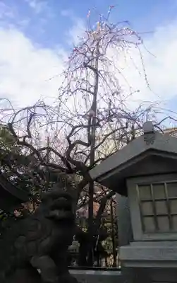 牛天神北野神社の狛犬