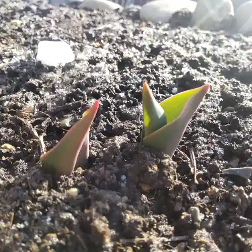 七重浜海津見神社(北海道)