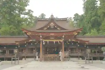 多賀大社の本殿・本堂